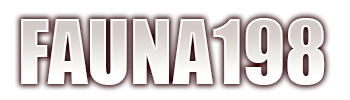 FAUNA198 Logo